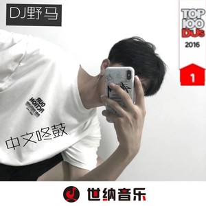 迪迦旋律 (DJ版)