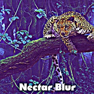 Nectar Blur