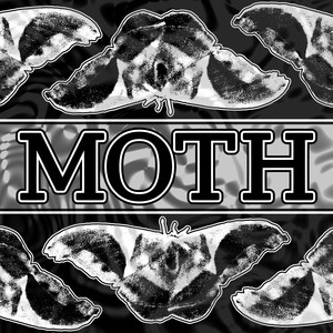 Moth (Arram Eggleston's Hardcore Remix)
