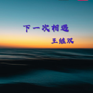 下一次相遇