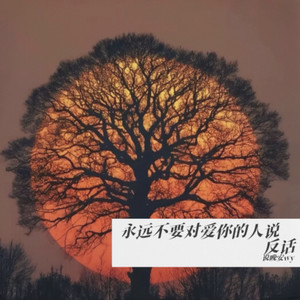永远不要对爱你的人说反话 (Remix)