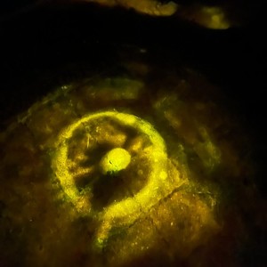 IMPO (RASCALS OTW) (Explicit)