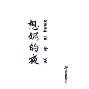 想妮的夜