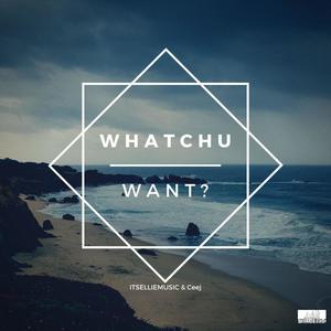 Whatchu Want? (feat. Ceej) [Explicit]