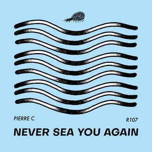 Never Sea You Again