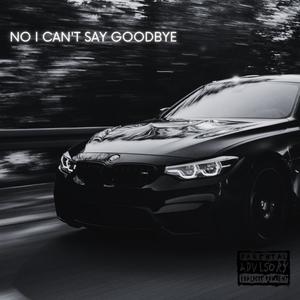 NO I CAN'T SAY GOODBYE (Explicit)