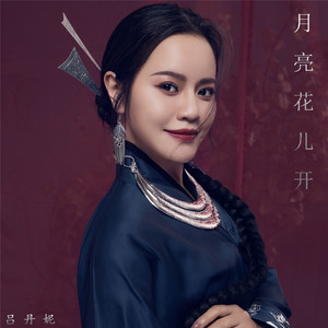 月亮花儿开