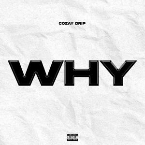 WHY (Explicit)