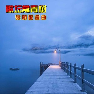 难寻旧时梦 (Live)封面