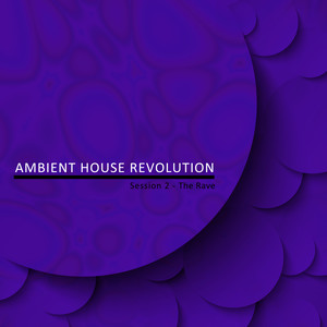 Ambient House Revolution, Session 2 - The Rave