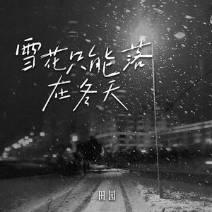 田园 - 雪花只能落在冬天