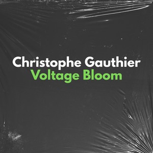 Together Forever (Original Mix)