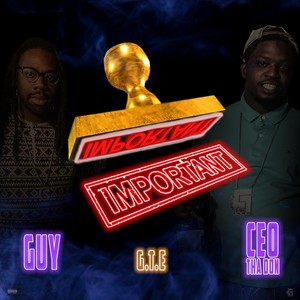 Important (Explicit)