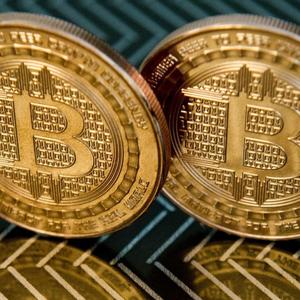 Trade it all(feat. Mayan Kulture) (Explicit)