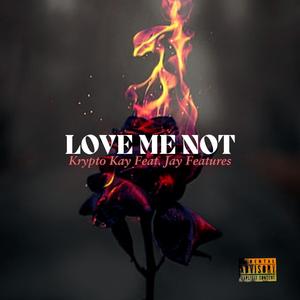 Love Me Not (feat. Jay Features) [Explicit]