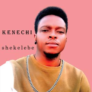 Shekelebe