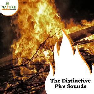 The Distinctive Fire Sounds