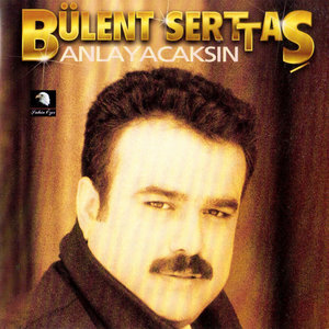 Anlayacaksın