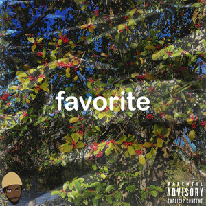 favorite (Explicit)