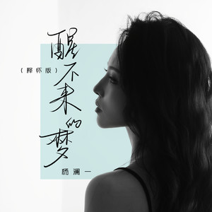 醒不来的梦 (寻不到天堂)封面