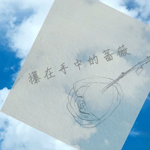 攥在手中的蔷薇