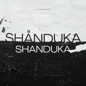 Shanduka (feat DajiggySA x Mfana Mdu)