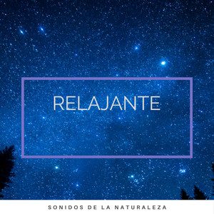 Euphoric Islands of Natural Voices for REM Naps pt. 7(feat. Música ambiental relajante, The Committers & Deep Sleep Nature Sounds)