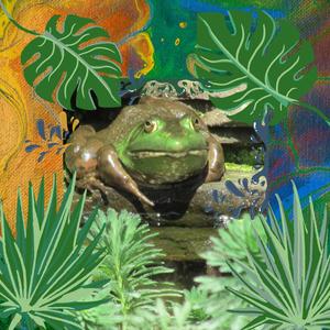 Slippery Frog (Instrumental Version)