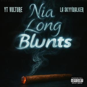 Nia Long Blunts (feat. LA Skyywalker) (Explicit)