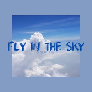 FLY IN THE SKY