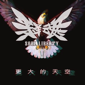 更大的天空