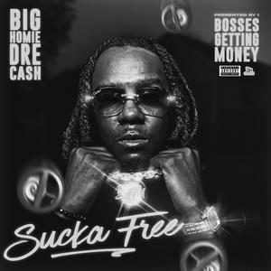 Sucka Free (Pt.2) [Explicit]