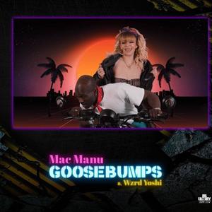 Goosebumps (Explicit)