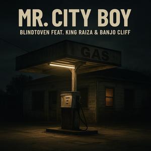Mr. City Boy (Explicit)