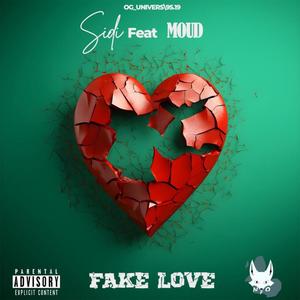 Fake Love (feat. Moud) (Explicit)