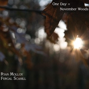 One Day: November Woods