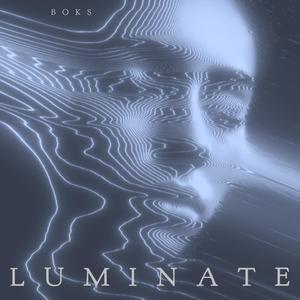 LUMINATE (Explicit)