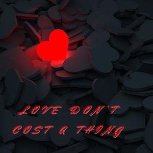 Love Don't Cost A Thing (feat. Y-Kaay) [Explicit]