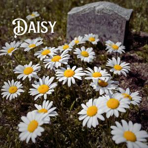 Daisy (Acoustic )