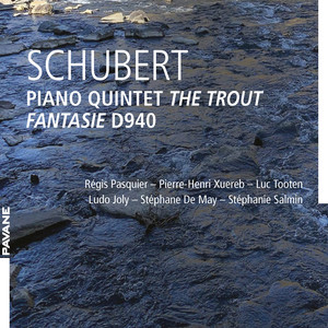 Piano Quintet in A major, D667 The Trout: V. Finale - Allegro giusto