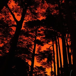 DEMON (feat. BLOODYSAINTT) (Explicit)