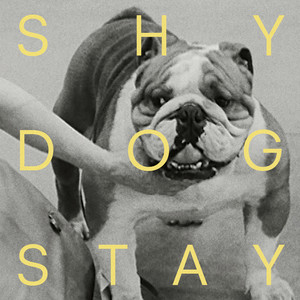 Stay