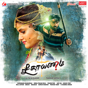 Seethayanam (Original Motion Picture Soundtrack)