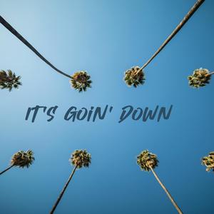 It's Goin' Down (feat. J Biz R & Nina Maroon) (Explicit)