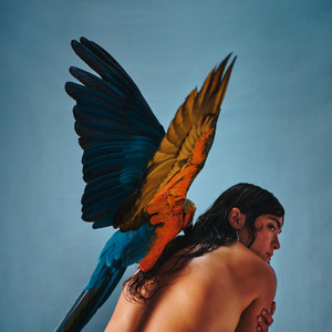Suavecito