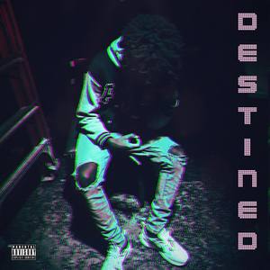 DESTINED (Explicit)