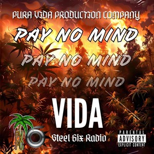 Pay No Mind (Explicit)