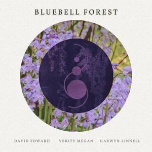 Bluebell Forest