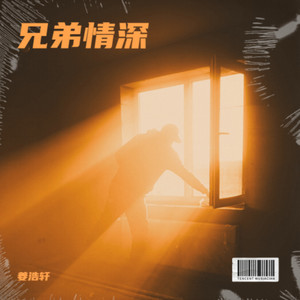 兄弟情深