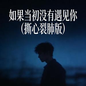 小沐乐 - 如果当初没有遇见你 (伴奏|撕心裂肺版)
